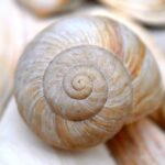 Sommerurlaub – Termine