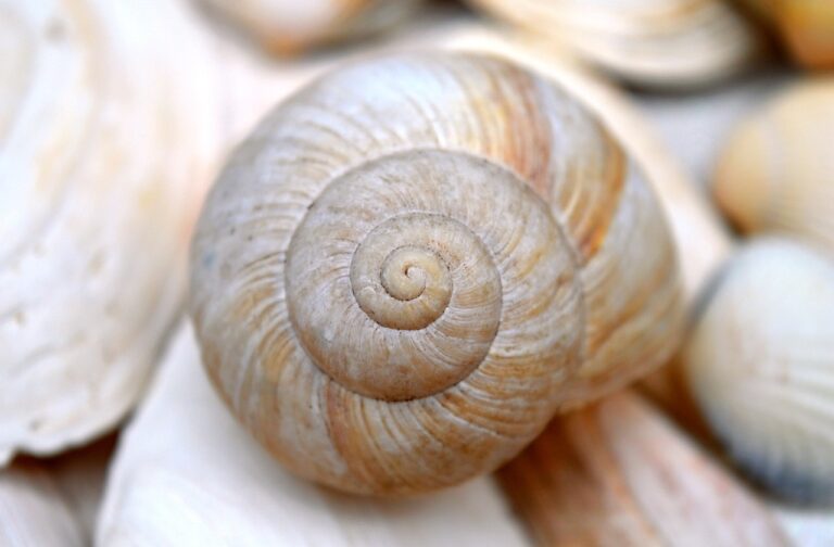 Read more about the article Sommerurlaub – Termine